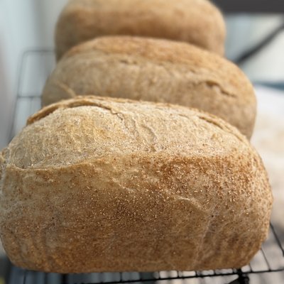 Hearty Sourdough Sandwich Loaf