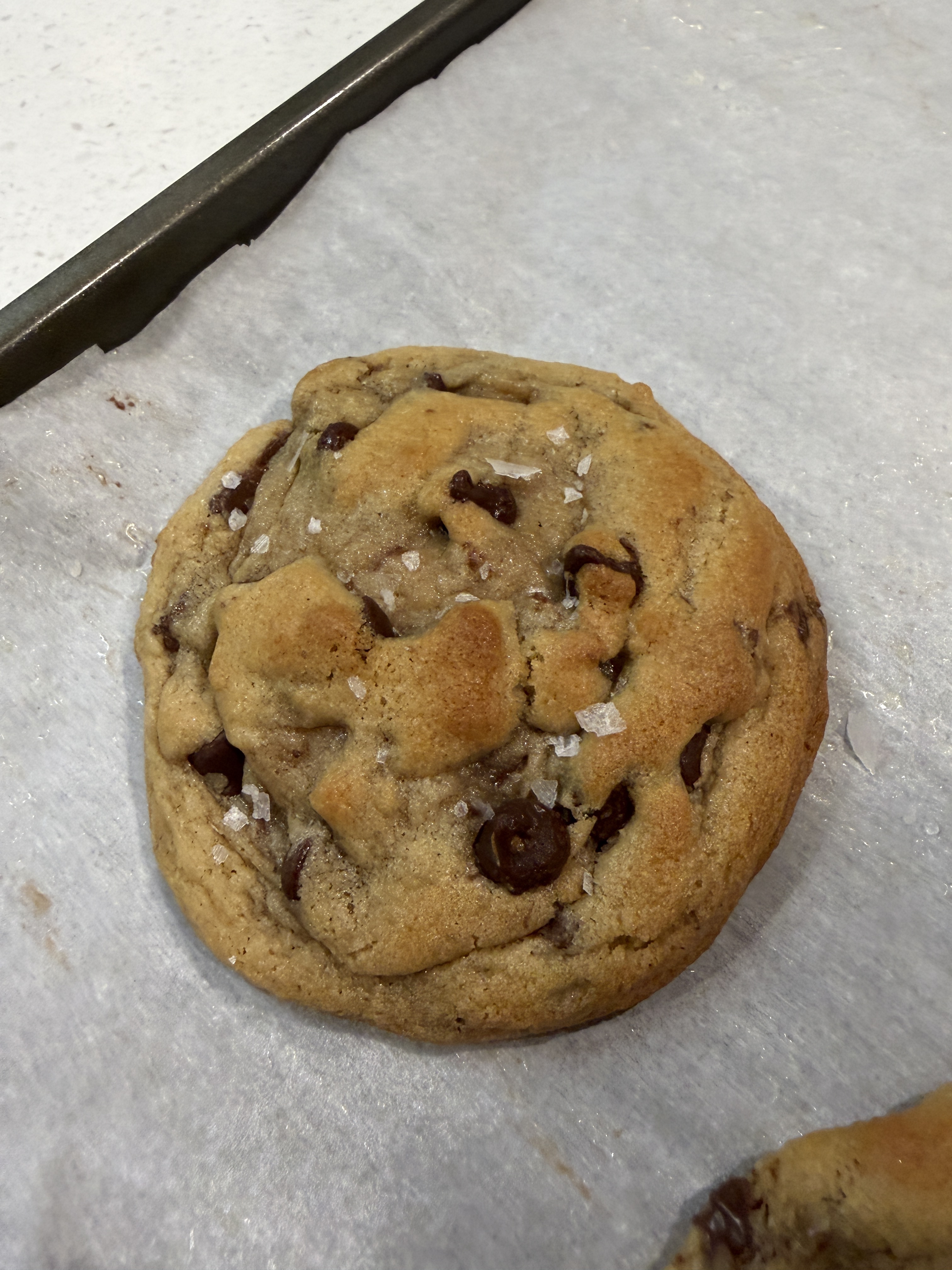 Single Gourmet Cookie