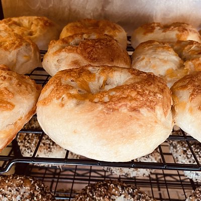 Sharp Cheddar Cheese Bagels