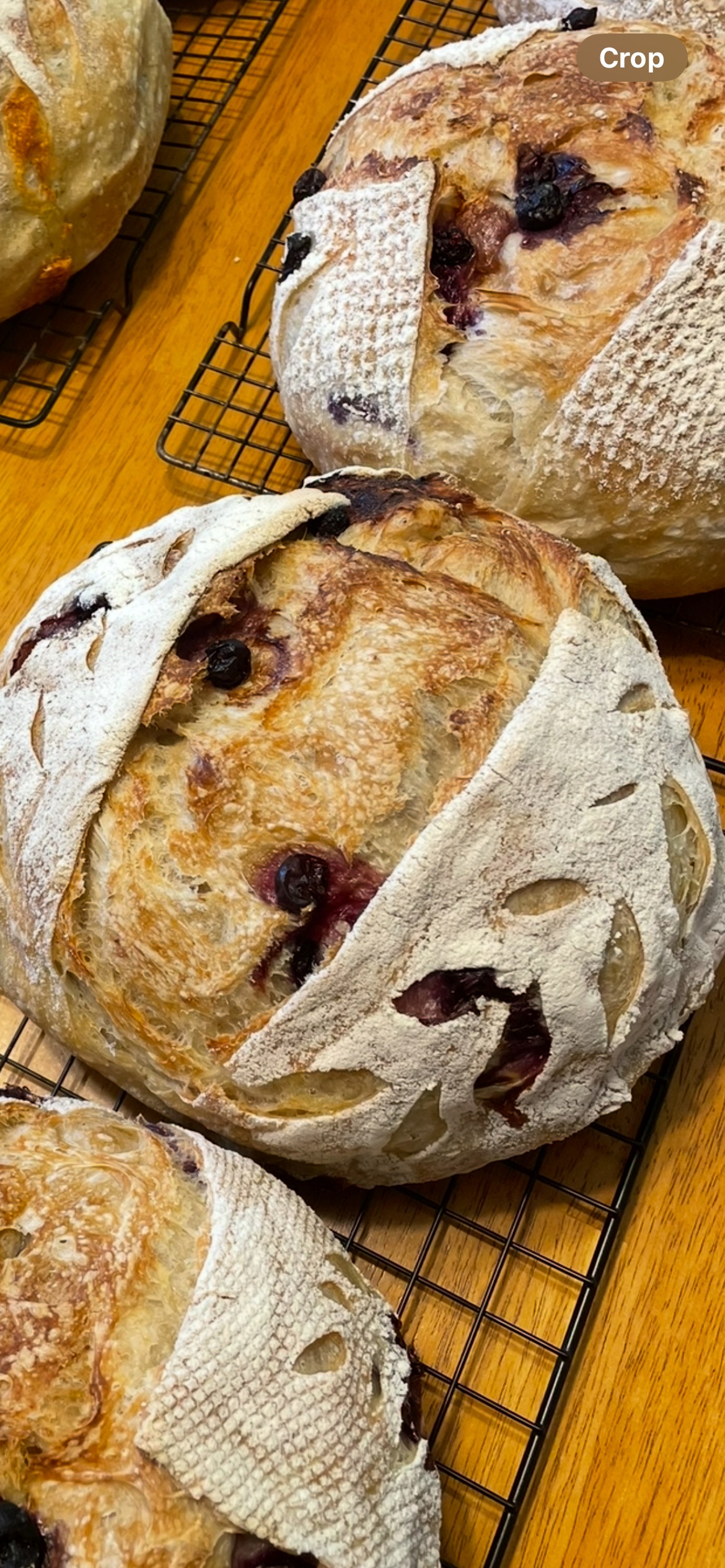 Blueberry Lemon Sourdough