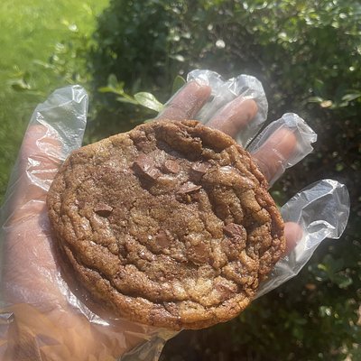 Chocolate Chip Cookie 