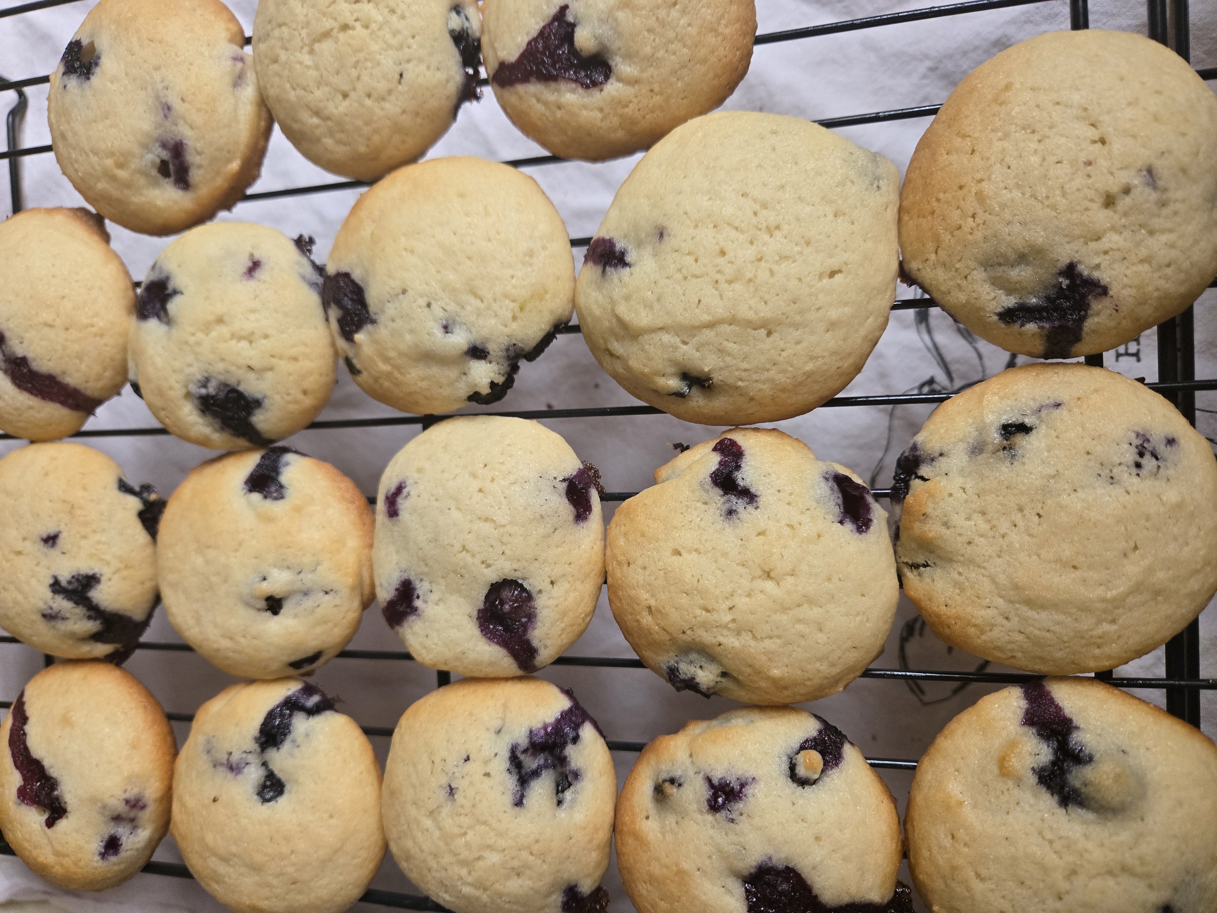 Lemon Blueberry Cookies 