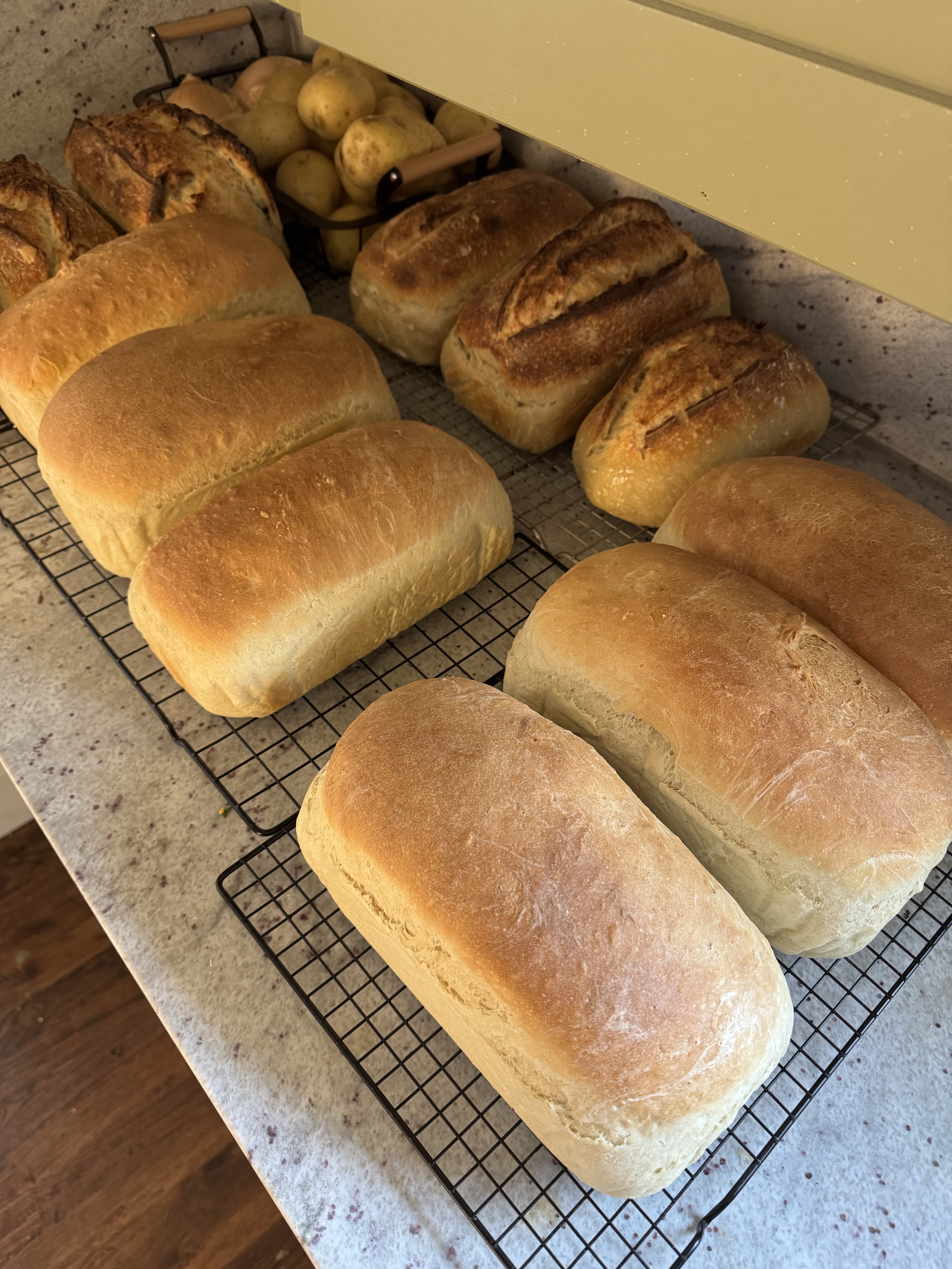 Sandwich Bread