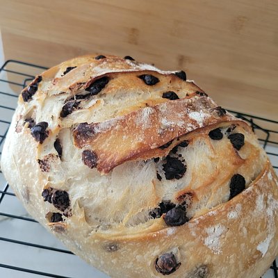 Chocolate Chip Sourdough Loaf