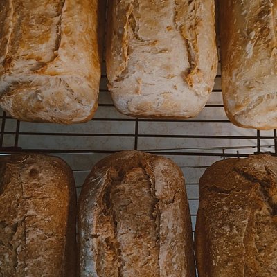 Honey Toasted Oatmeal Sourdough Loaf 