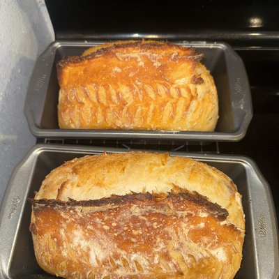 Sourdough Loaf