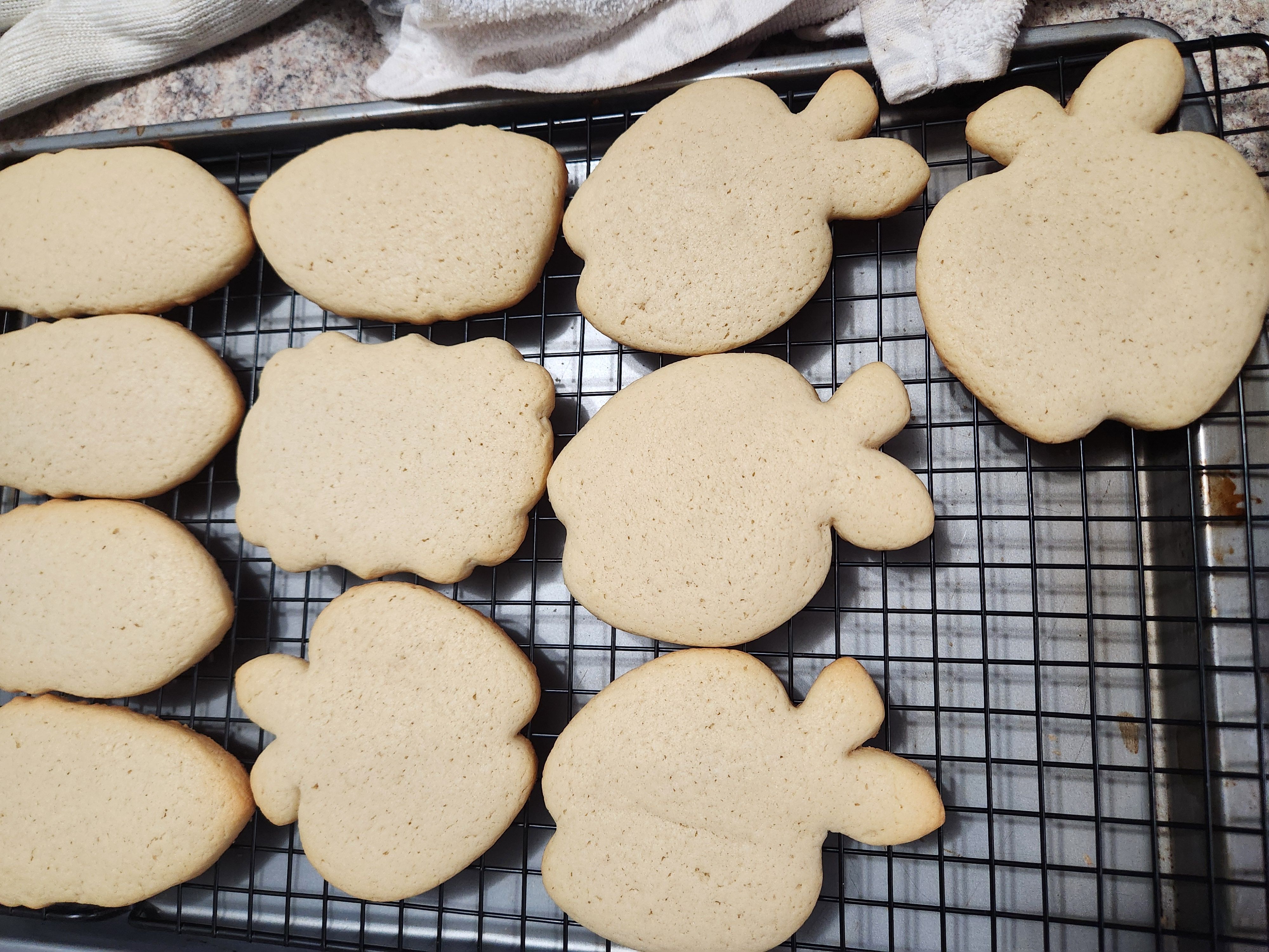 Plain Sugar Cookies by the Dozen- Gluten-Free 