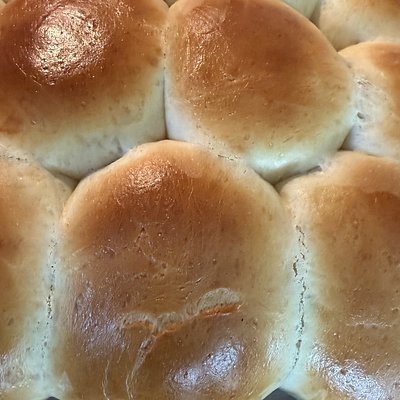 Dinner Rolls