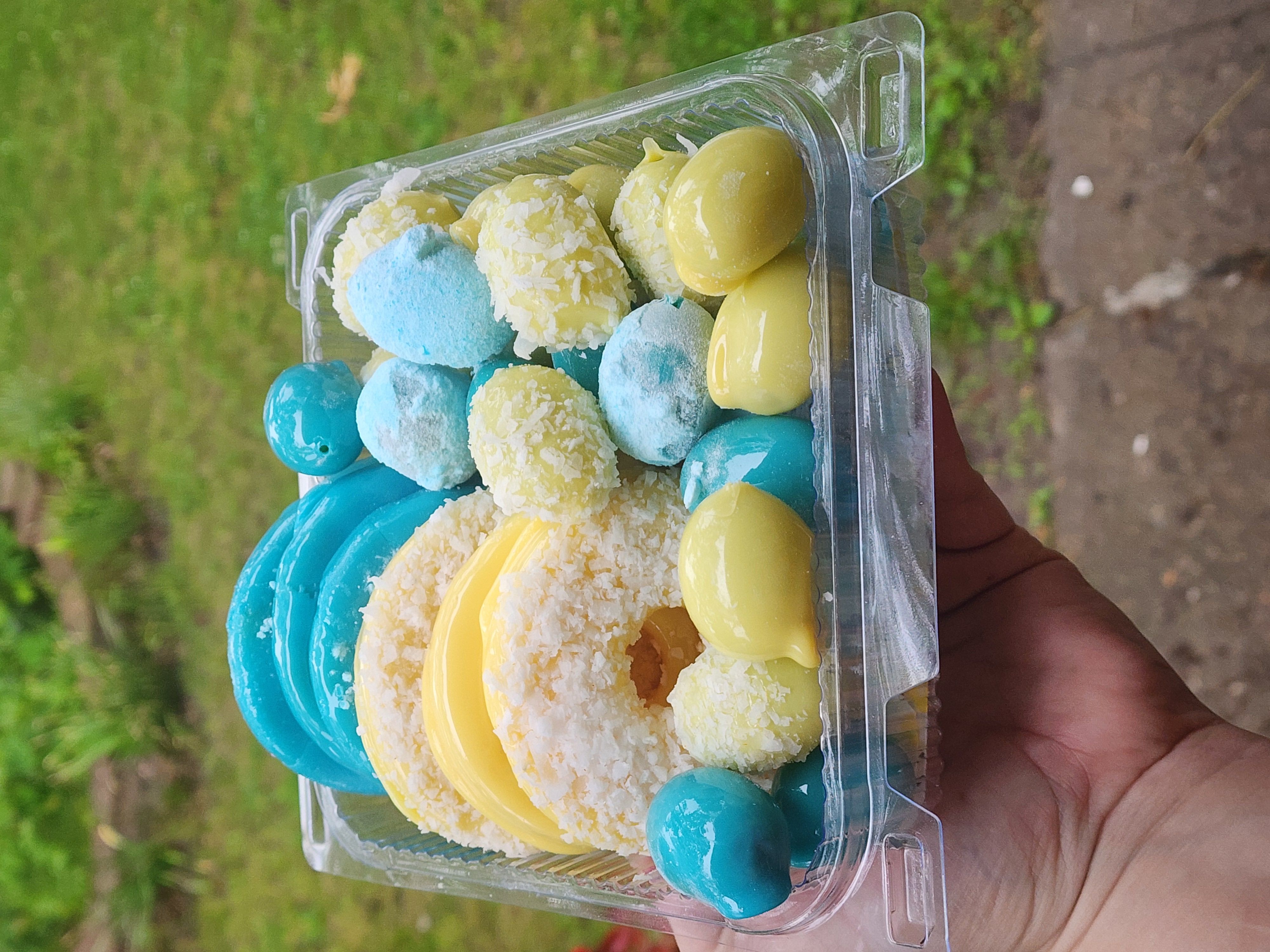Large Tray