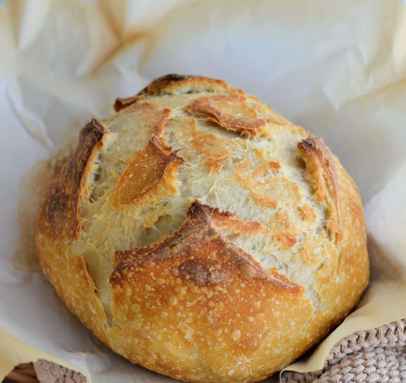 Artisan Sourdough Plain