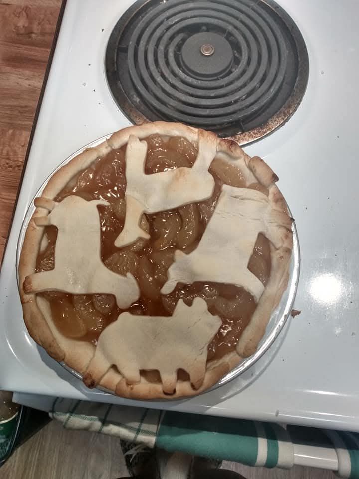 Pies