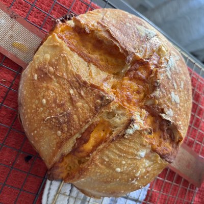 Flavored sourdough Cheddar Cheese ( Any Cheese) 