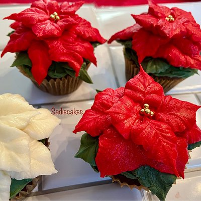 Red Poinsettia Cupcakes (Chocolate)