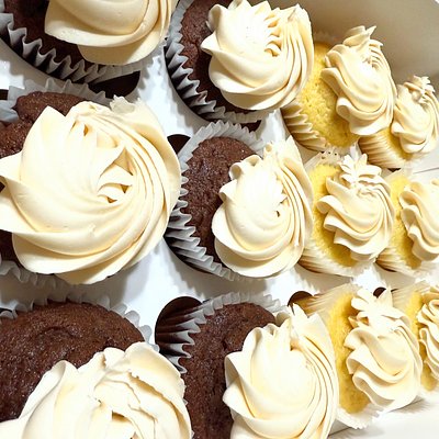 Vanilla Cupcakes