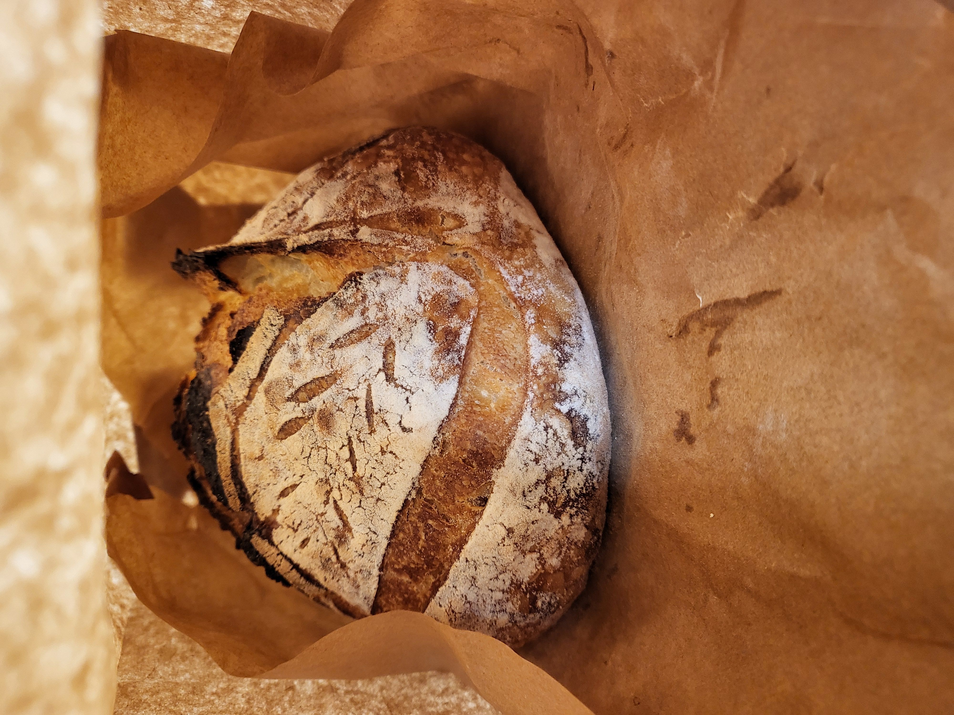 Baby Boule