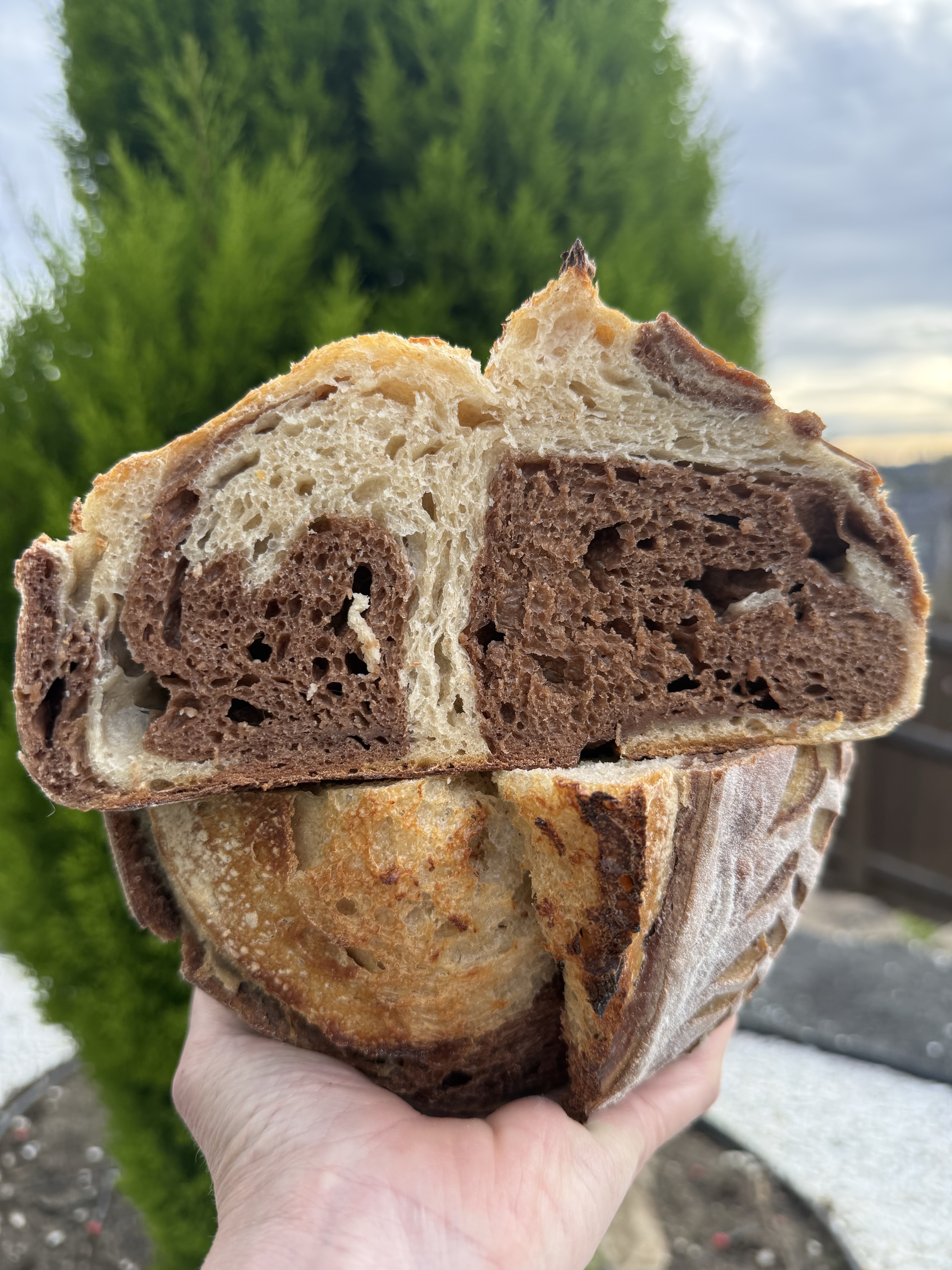 Marble rye