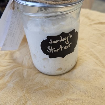Sourdough Starter