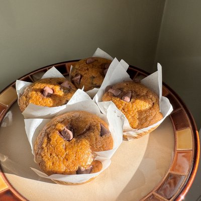 🫙Sourdough Chocolate Chip Pumpkin Muffins 