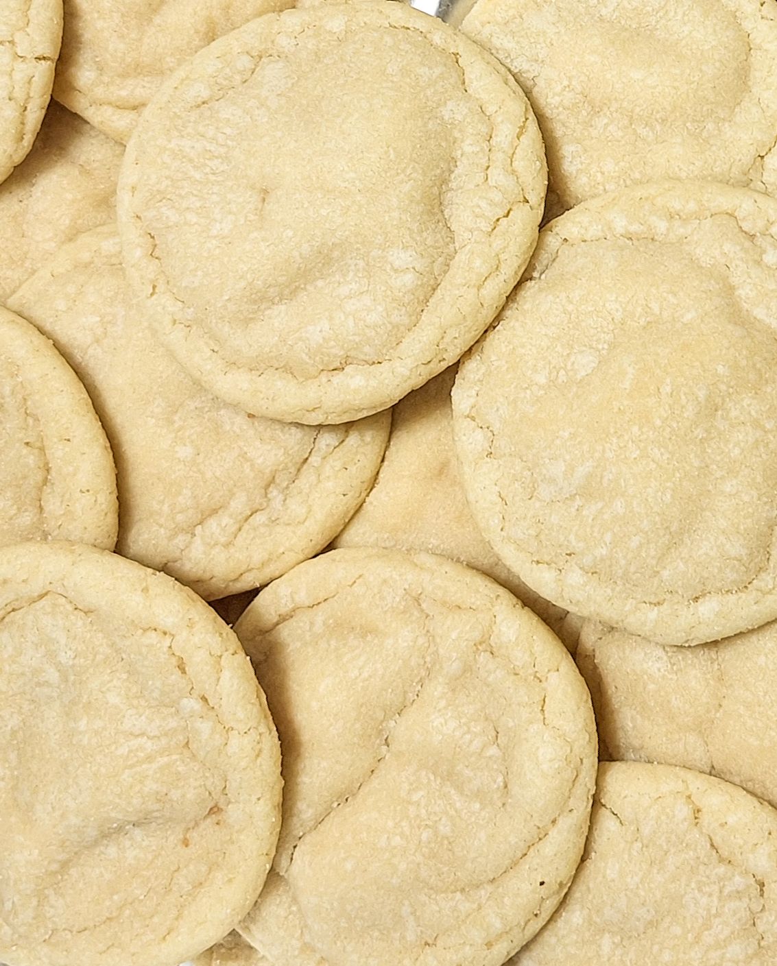Sugar Cookie