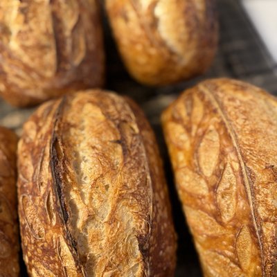 White Sourdough Bread 