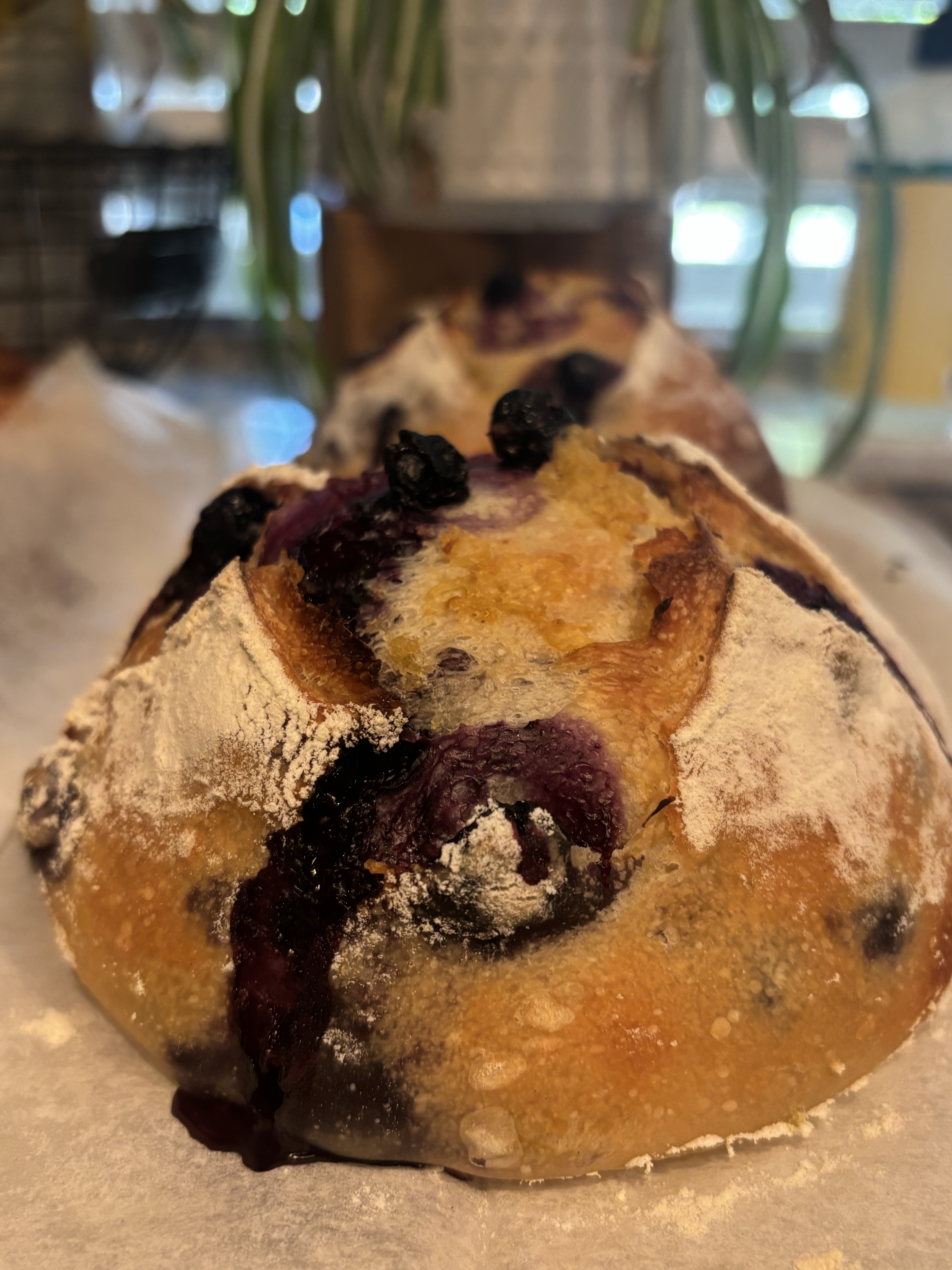 Lemon Blueberry Sourdough