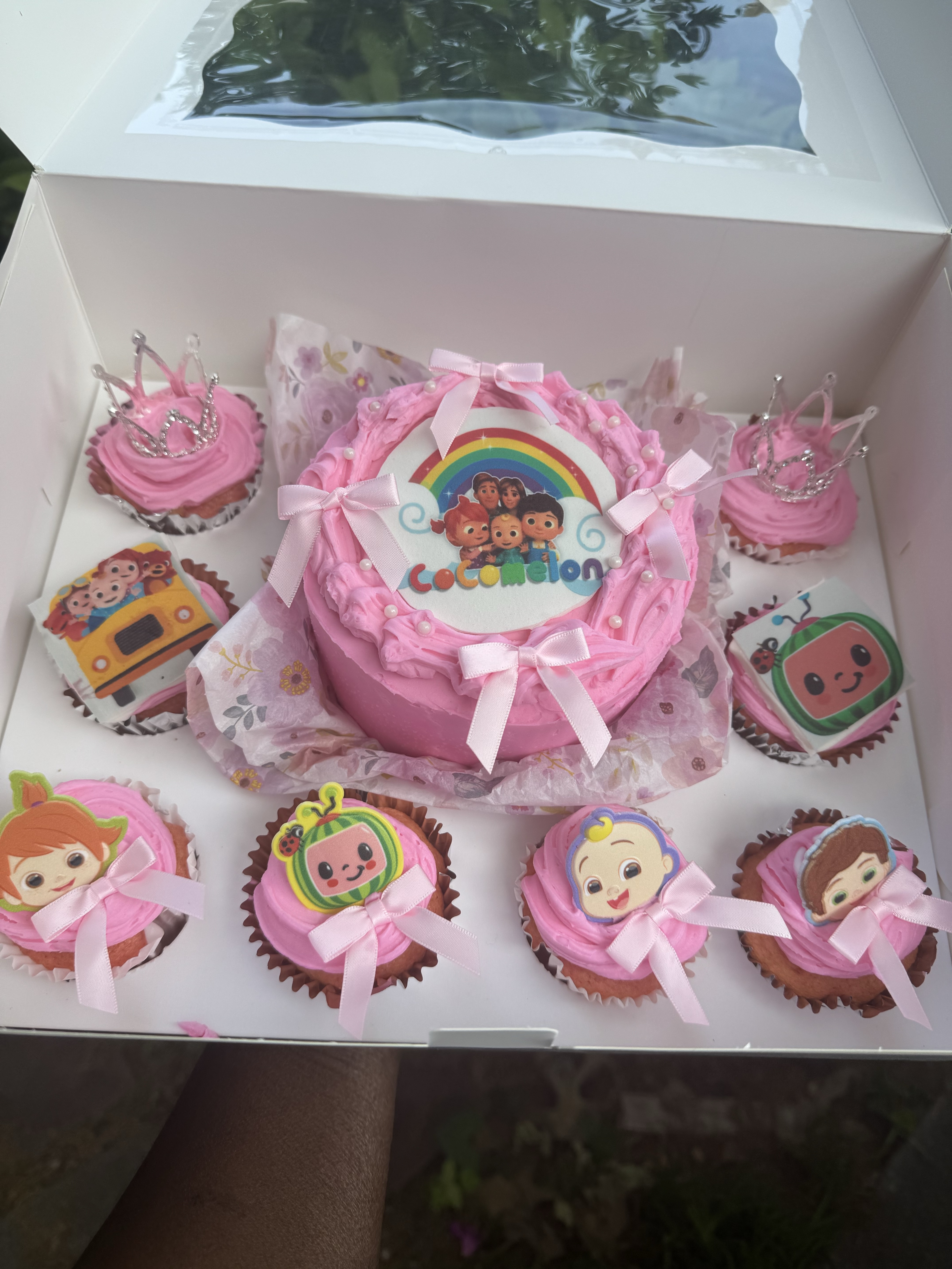 Bento Cake Box