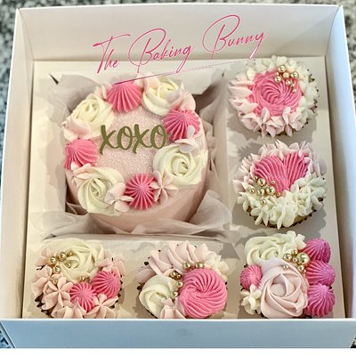 Bento Cake Box Medium 