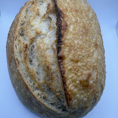 Classic Sourdough 