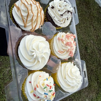 Dozen Cupcakes 