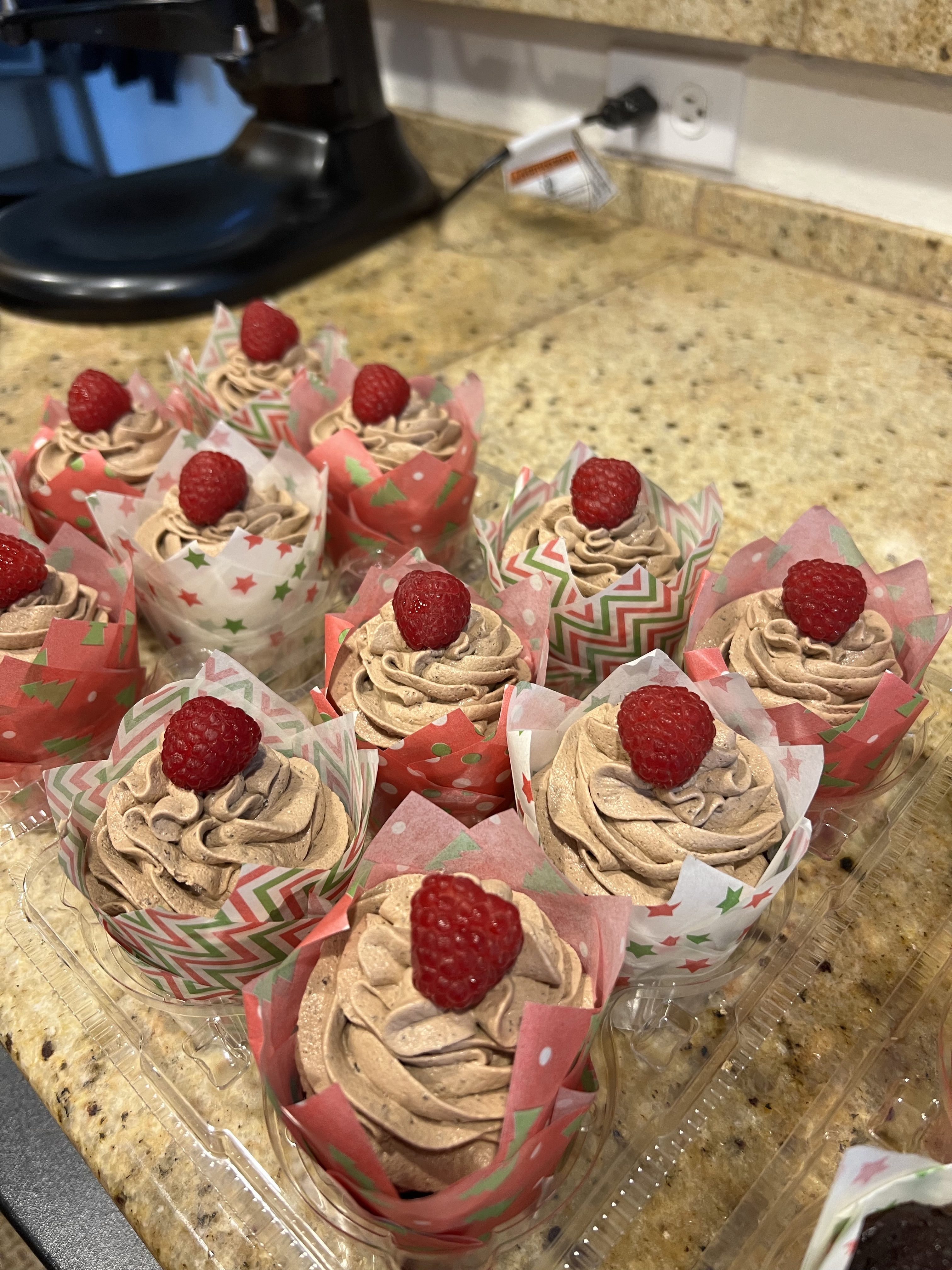 Chocolate Raspberry Cupcake