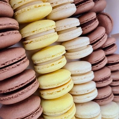 1 Dozen Macarons 
