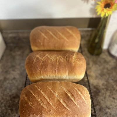 SD Hawaiian  Sandwich Bread 
