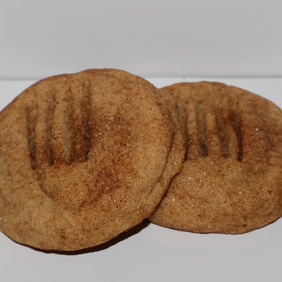 Moonsugar Snickerdoodle 