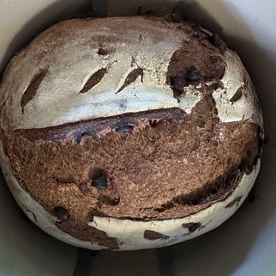 Double Chocolate Chip 