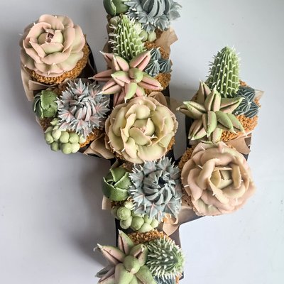 Succulent Box