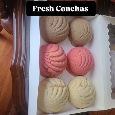 Conchas