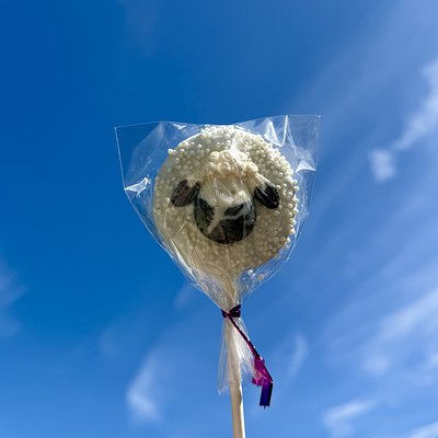 *Custom* Dozen Cake Pops