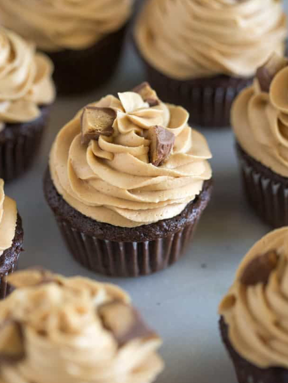 Chocolate Peanut Butter Cup  (Half Dozen)