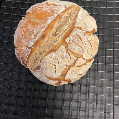 Gluten Free Artisan Sourdough 
