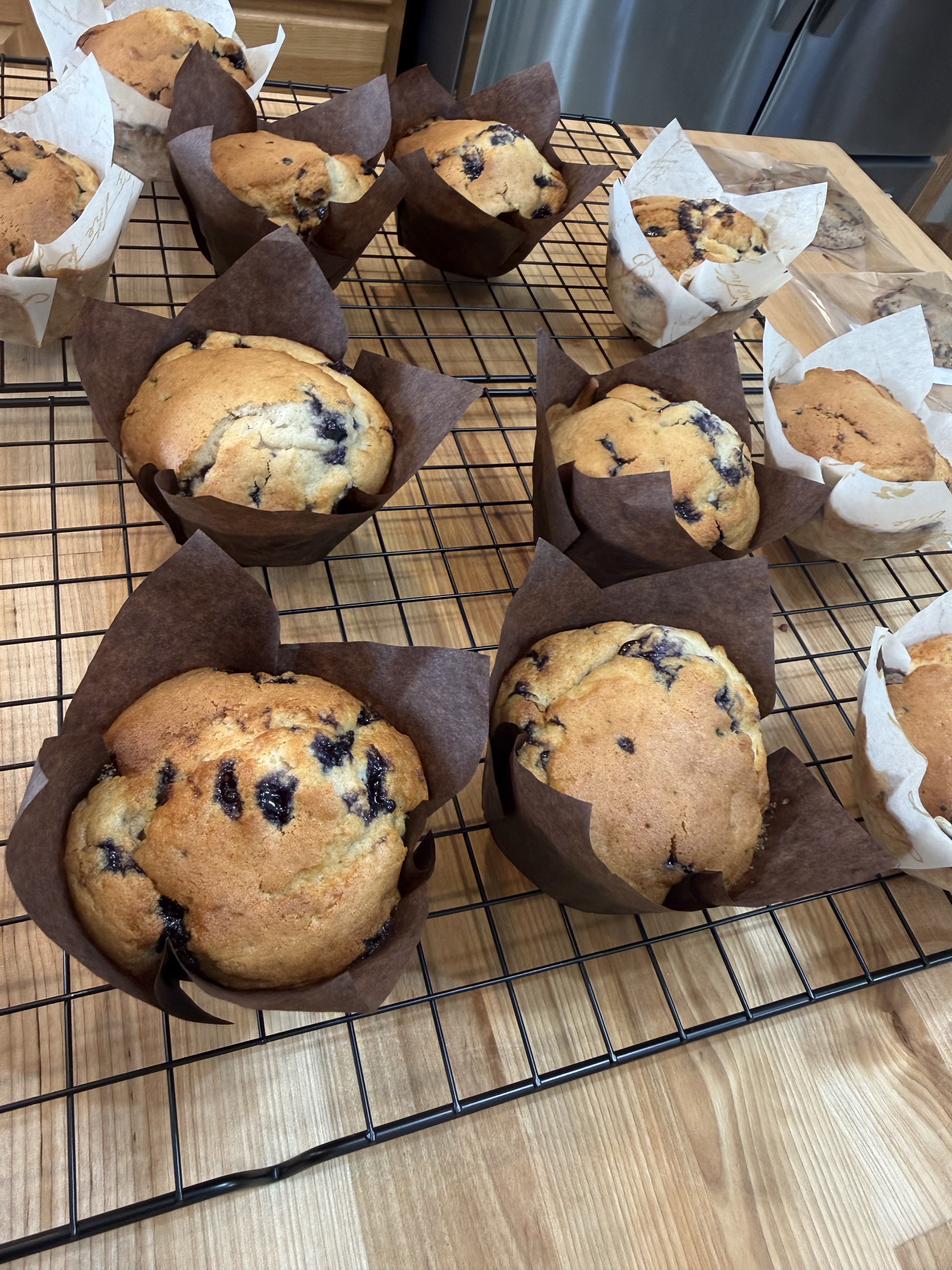 Jumbo Blueberry Muffins 