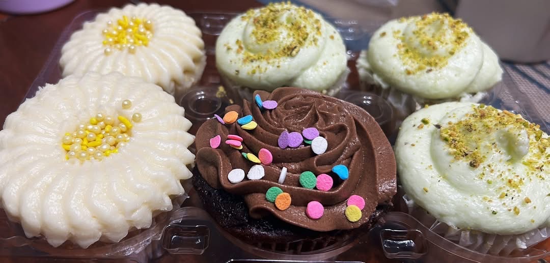 Chocolate Cupcakes