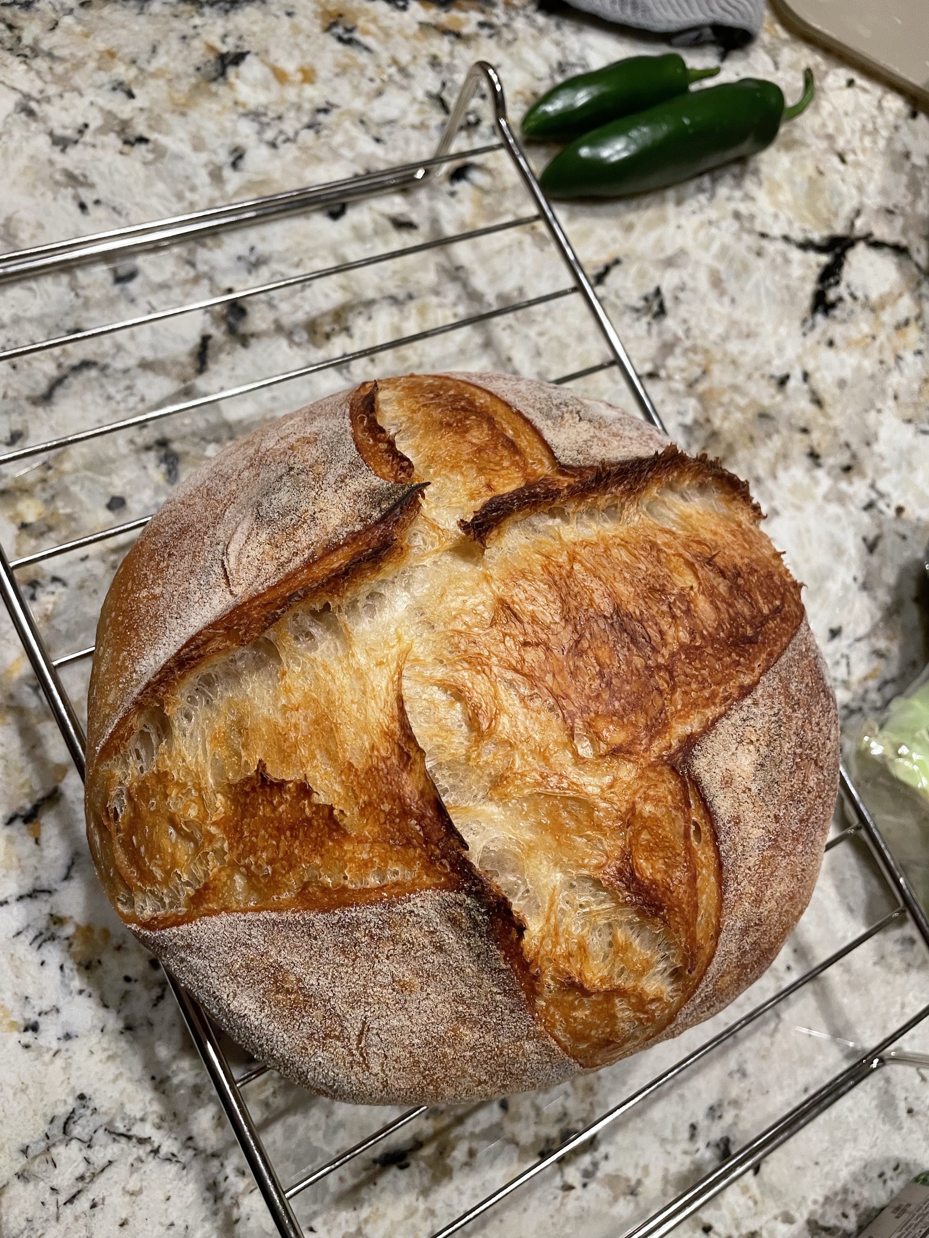 Sourdough Bread