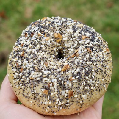 Everything Sourdough Bagels (6ct)