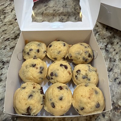 Sourdough Chocolate Chip Lil Bites 