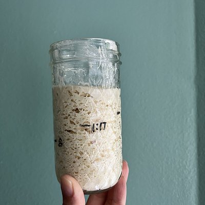 Gluten Free Sourdough Starter 