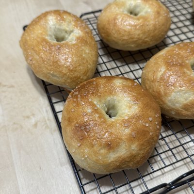 8ct Plain Bagel
