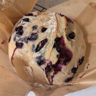 Mini Blueberry & Lemon Zest Boule