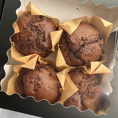 Double Chocolate Chip