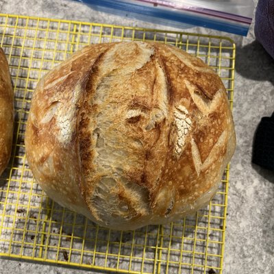 Traditional Sourdough Round Loaf