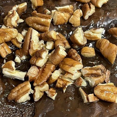 Turtle Brownie (Pan) 13*9